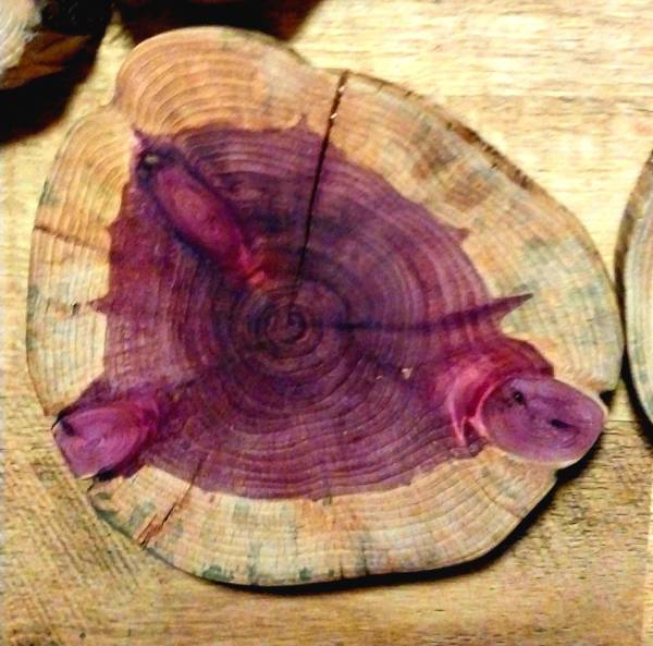 Cedar pieces for DIY and woodworkers